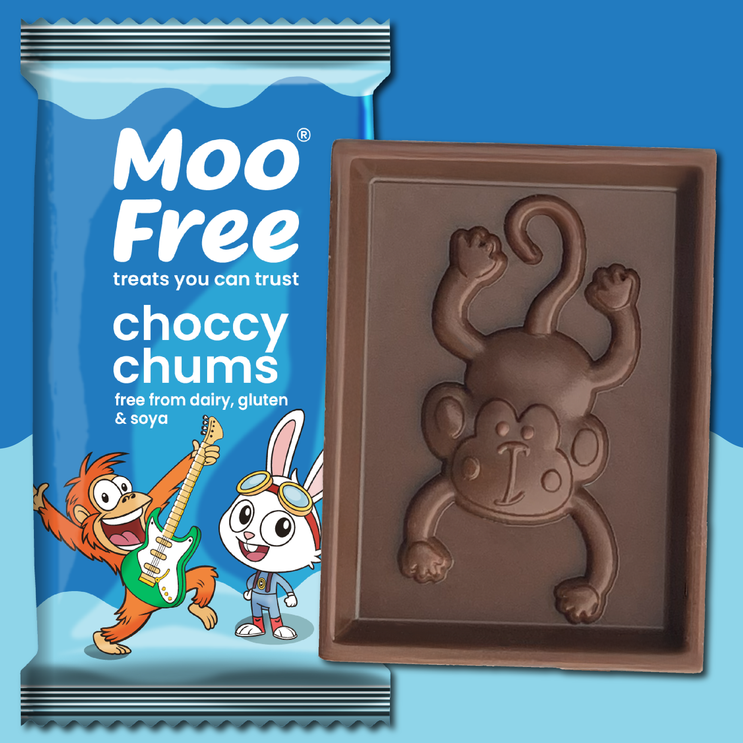 Dairy Free & Vegan, Choccy Chum Surprises Bars (20g)