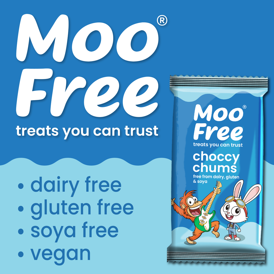 Dairy Free & Vegan, Choccy Chum Surprises Bars (20g)