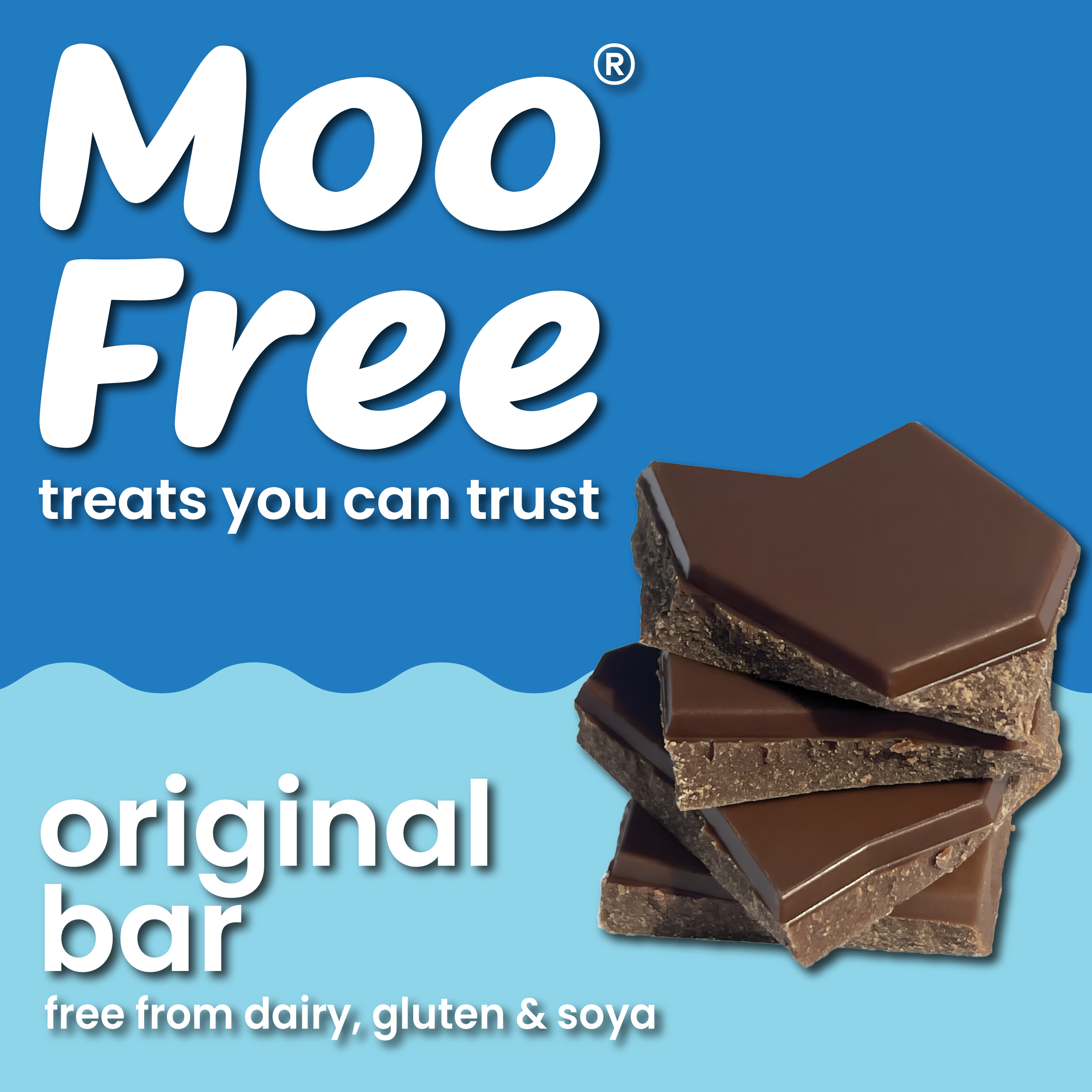Large Bar: Dairy Free & Vegan Milk Chocolate Bars (80g) x 2