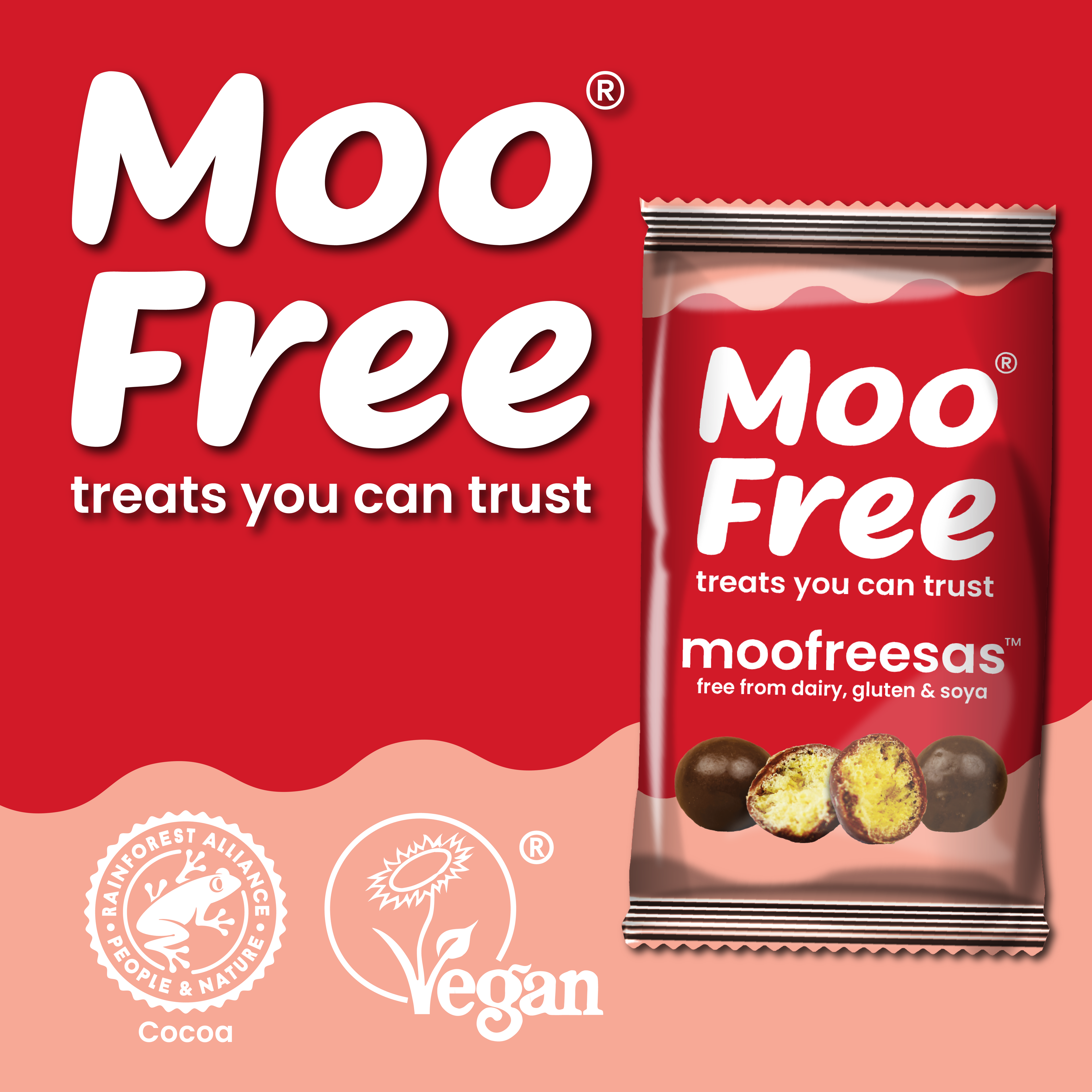 Choccy Rocks: Dairy Free & Vegan Moofreesas (35g)