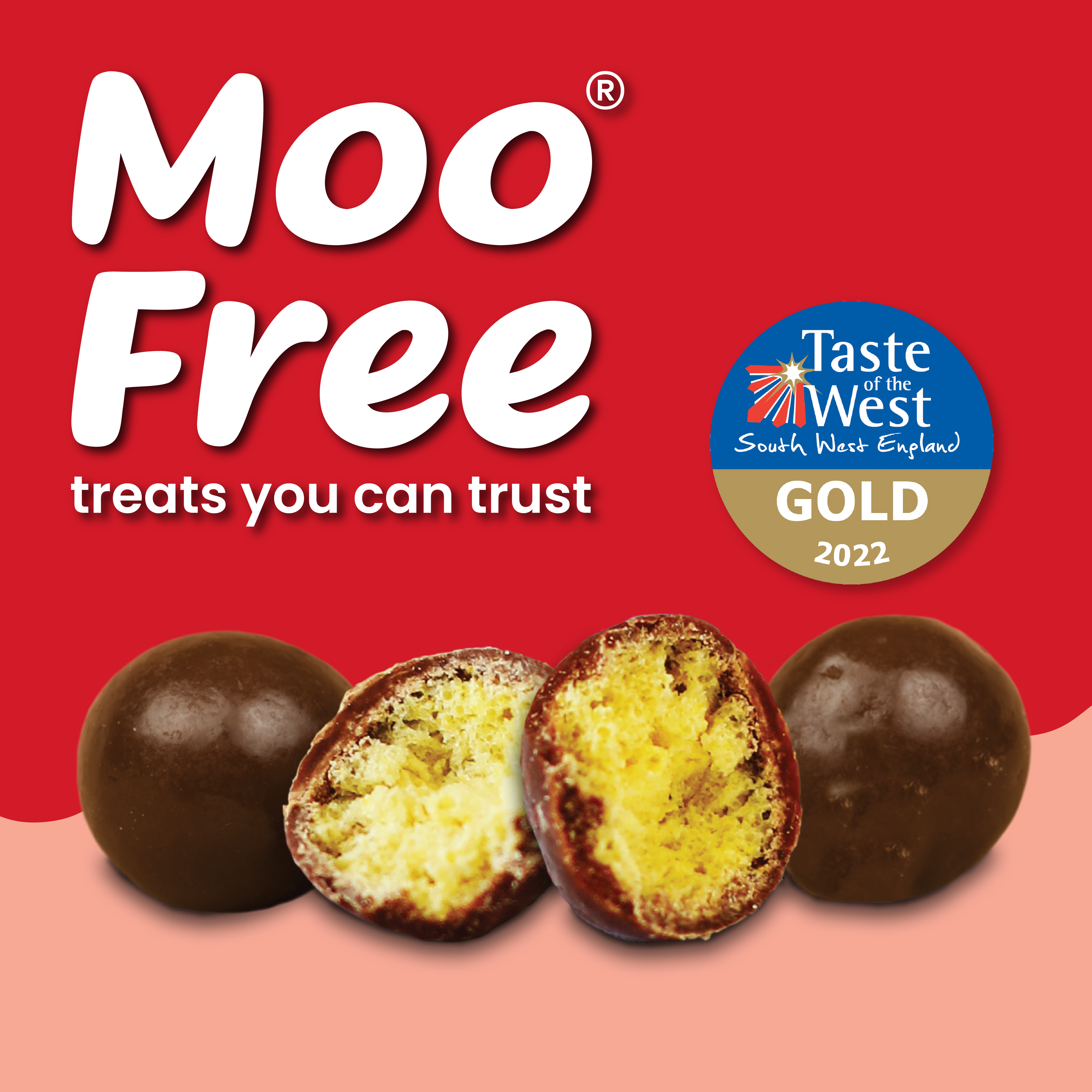 Choccy Rocks: Dairy Free & Vegan Moofreesas (35g)
