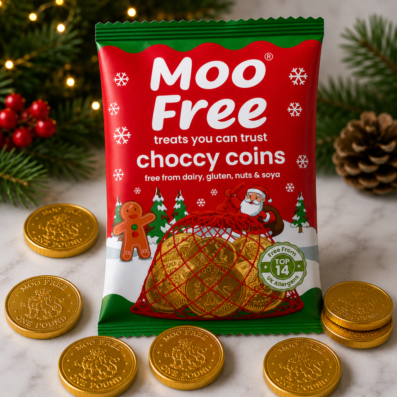 Christmas: Choccy Coins (49g)