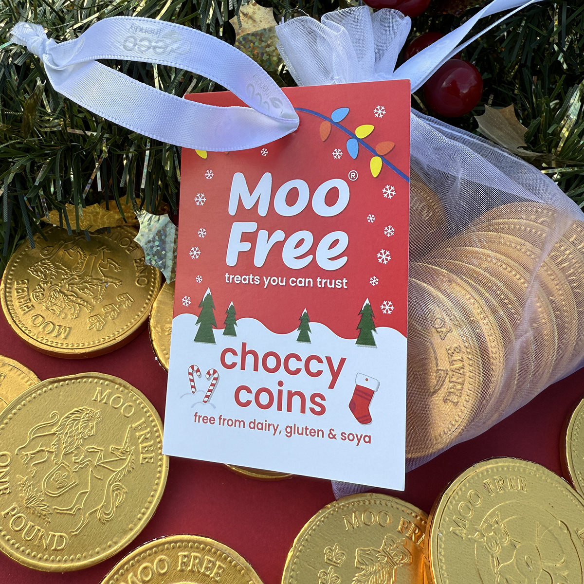 Christmas: Choccy Coins (70g)