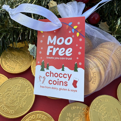 Christmas: Choccy Coins (70g)