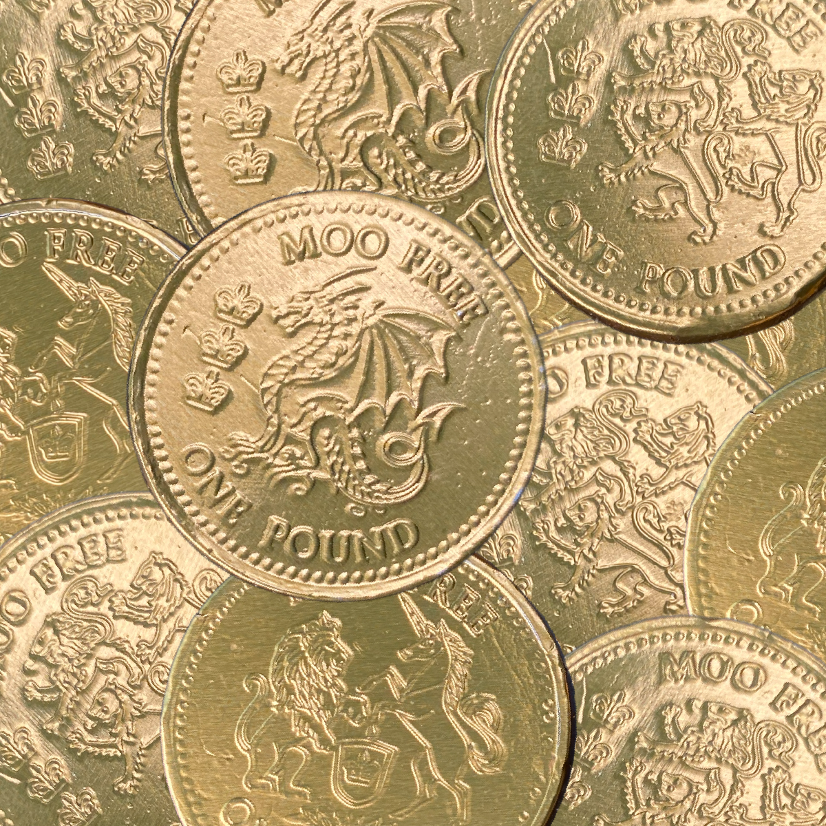 Christmas: Choccy Coins (70g)