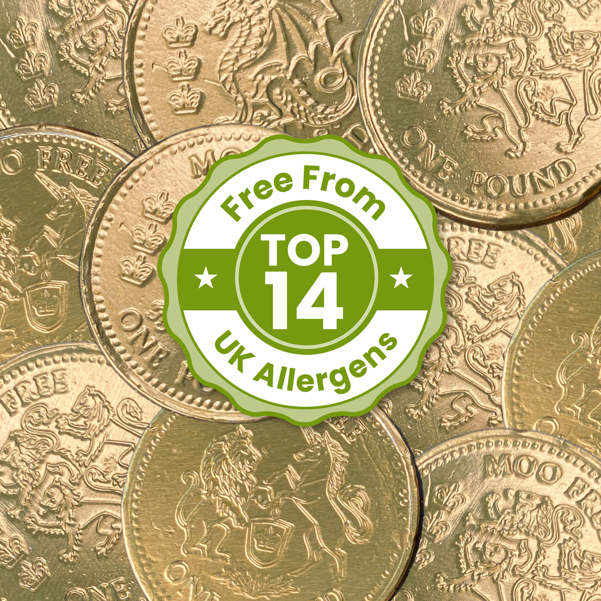 Christmas: Choccy Coins (49g)