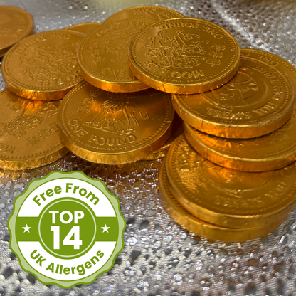 Christmas: Choccy Coins (49g)