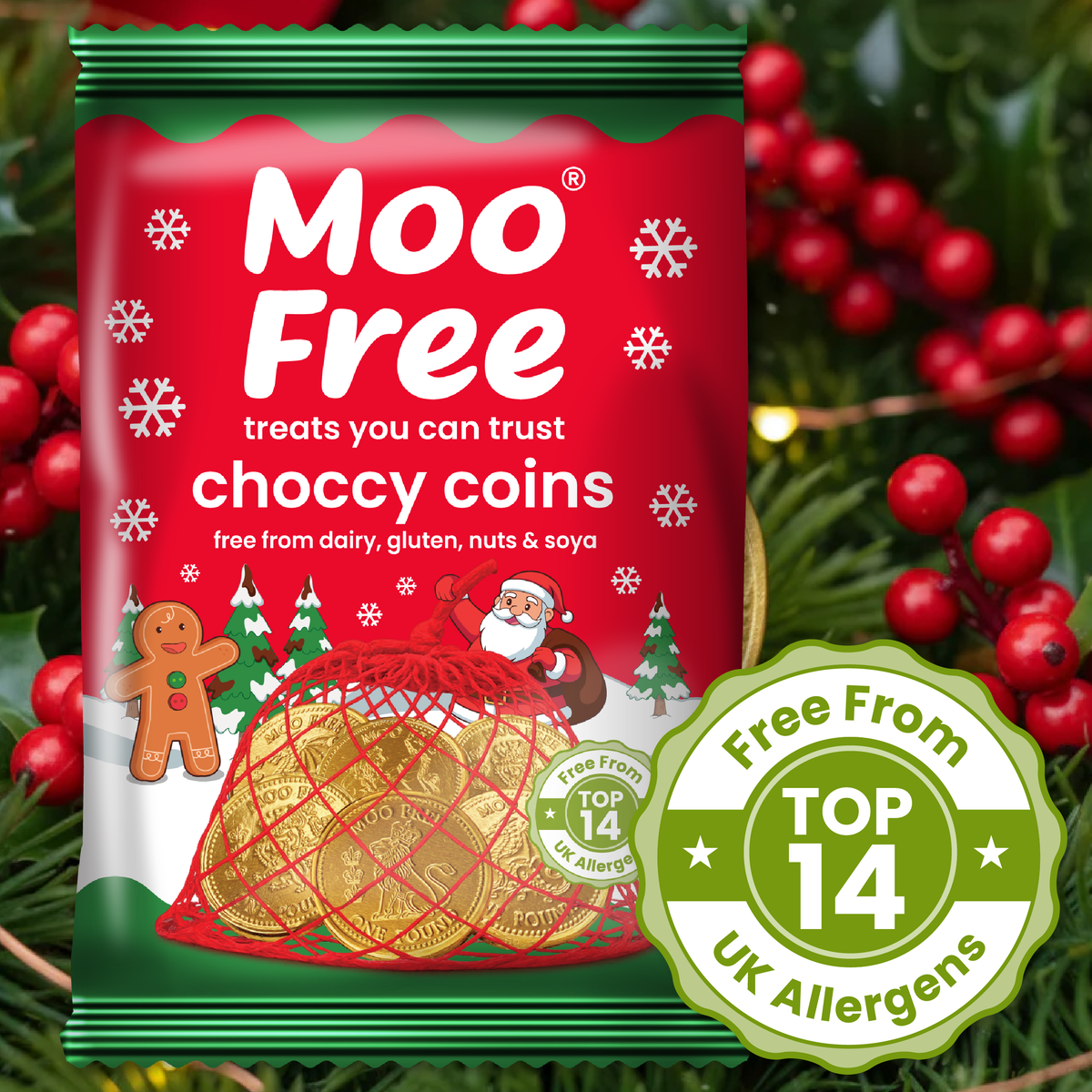 Christmas: Choccy Coins (49g)