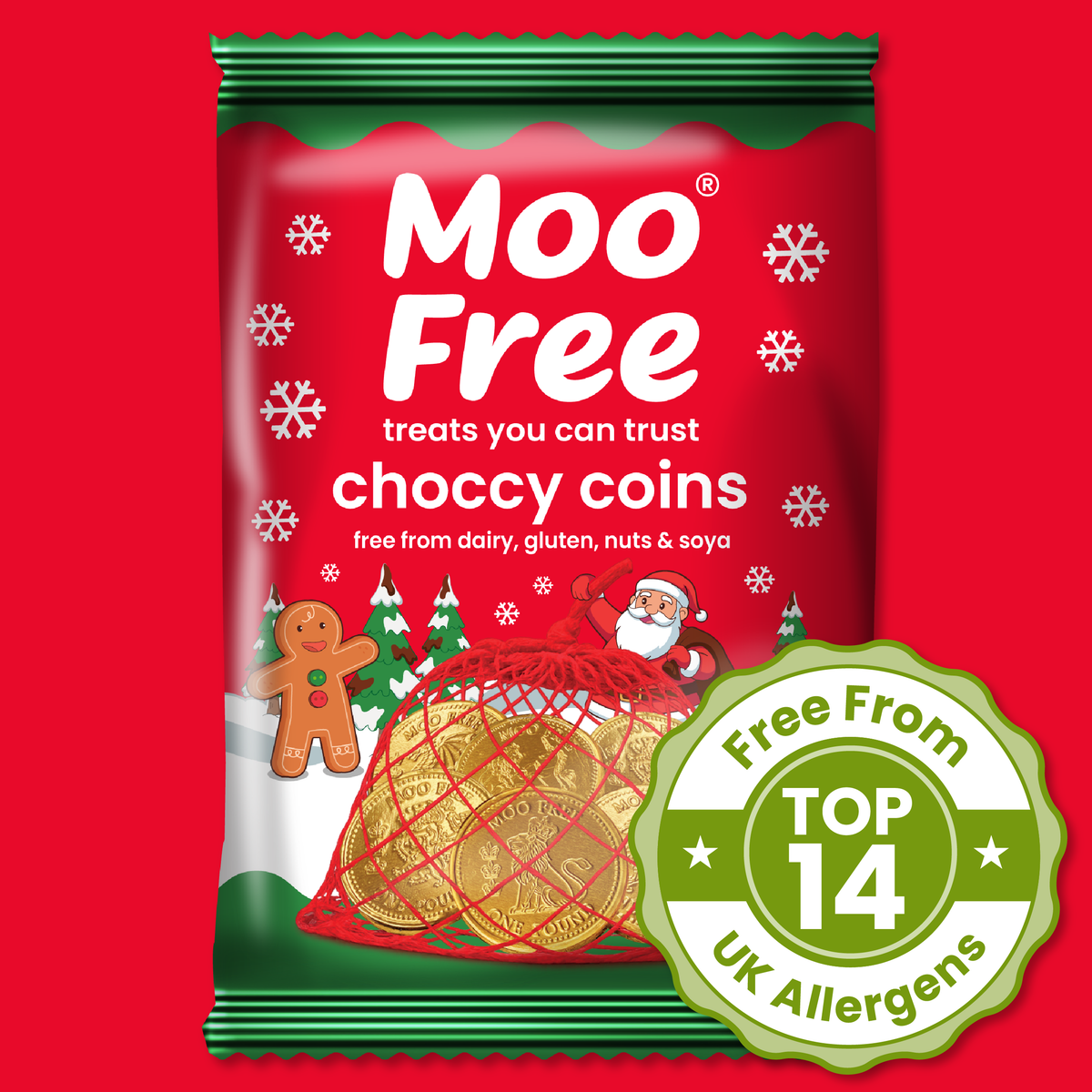 Christmas: Choccy Coins (49g)